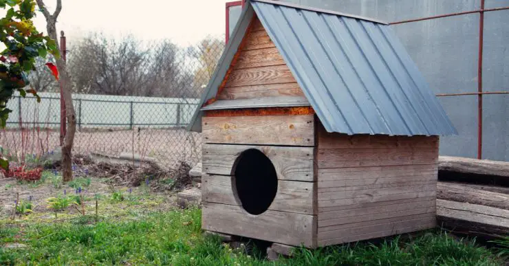 Grande niche en bois dans la cour