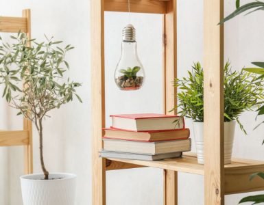Étagère en bnois avec des livres et des plantes d'intérieur