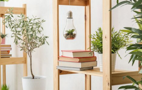 Étagère en bnois avec des livres et des plantes d'intérieur