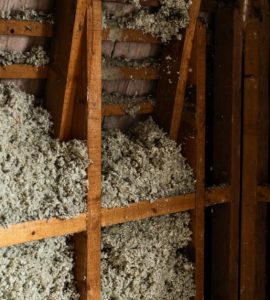 Travaux d'isolation des murs avec de la laine de mouton