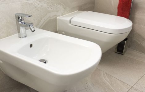 Gros plan sur le bidet et le WC de la salle de bain