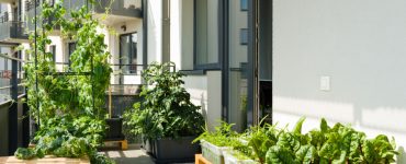 Un potager sur un balcon d’un appartement