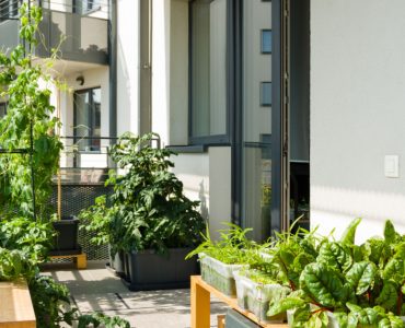 Un potager sur un balcon d’un appartement