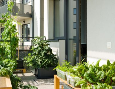 Un potager sur un balcon d’un appartement