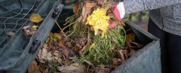 Une femme jetant des déchets de jardin dans un bac à compost dans le jardin