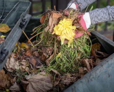 Une femme jetant des déchets de jardin dans un bac à compost dans le jardin