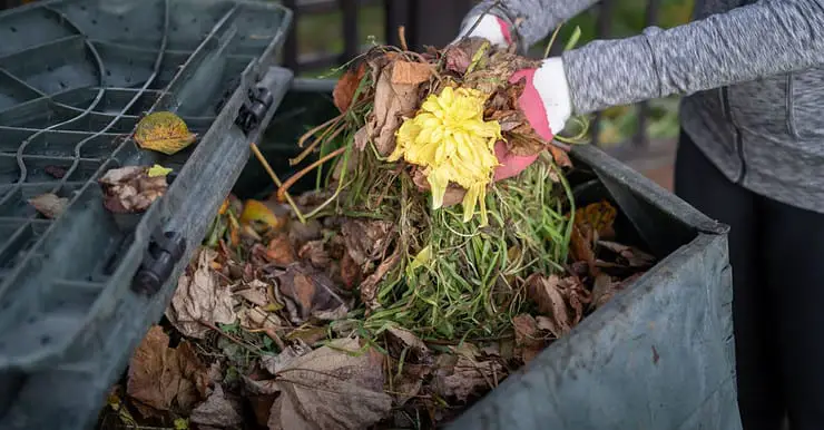 Une femme jetant des déchets de jardin dans un bac à compost dans le jardin