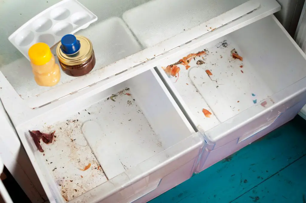 Le manque d'hygiène dans un frigo peut avoir de lourdes conséquences au niveau de votre santé