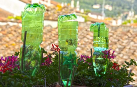 Trois bouteilles en plastique posées à l'envers pour arroser des fleurs sur le balcon