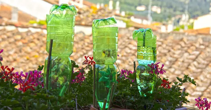 Trois bouteilles en plastique posées à l'envers pour arroser des fleurs sur le balcon