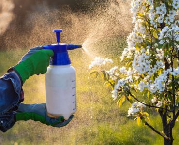 Un homme en gants bleus et verts pulvérisant du pesticide sur un arbuste