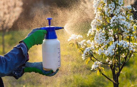 Un homme en gants bleus et verts pulvérisant du pesticide sur un arbuste