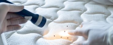 Focus sur les mains d’une personne tenant une lampe de poche et montrant petites tâches noires sur le lit blanc