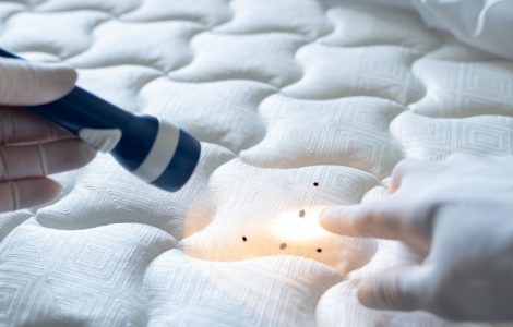 Focus sur les mains d’une personne tenant une lampe de poche et montrant petites tâches noires sur le lit blanc
