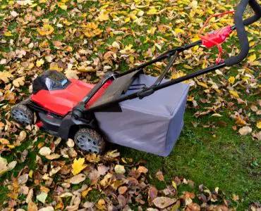 Une tondeuse de jardin sur une pelouse recouverte de feuilles