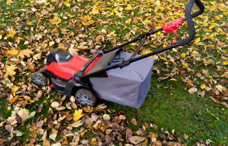 Une tondeuse de jardin sur une pelouse recouverte de feuilles