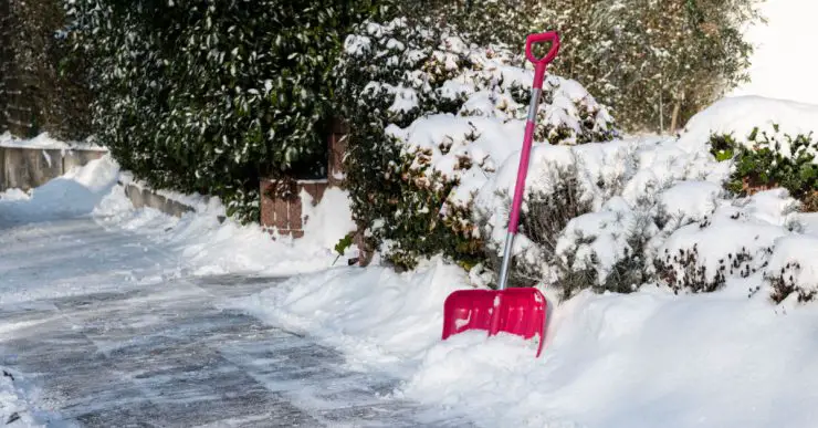 Une pelle rose pour déneiger une allée