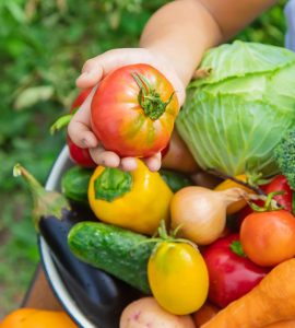 Un enfant dans le jardin tient plusieurs légumes dans une assiette