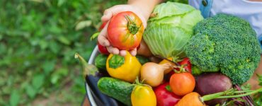 Un enfant dans le jardin tient plusieurs légumes dans une assiette