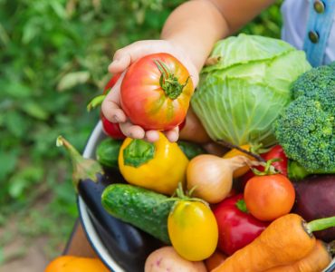 Un enfant dans le jardin tient plusieurs légumes dans une assiette