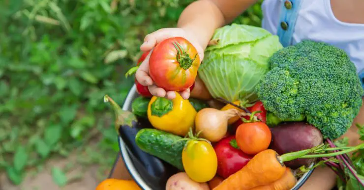 Un enfant dans le jardin tient plusieurs légumes dans une assiette