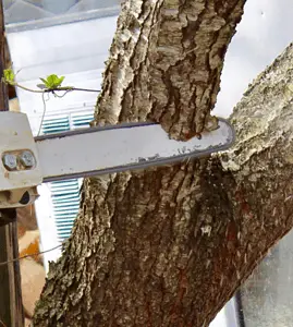 Un homme utilisant une tronçonneuse pour couper un tronc d'arbre