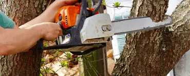 Un homme utilisant une tronçonneuse pour couper un tronc d'arbre