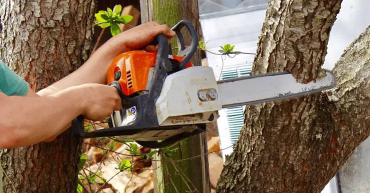 Un homme utilisant une tronçonneuse pour couper un tronc d'arbre