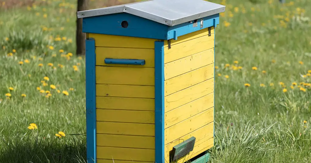 Installer une ruche dans son jardin : comment faire