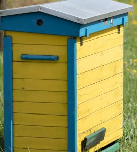 Une ruche en bois sur une pelouse