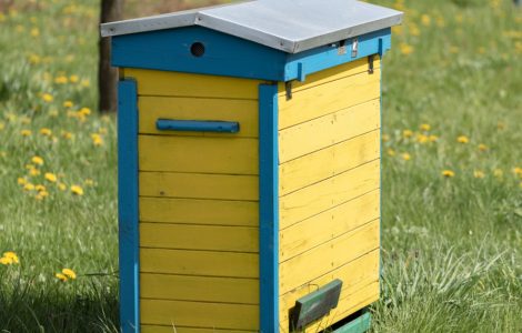 Une ruche en bois sur une pelouse