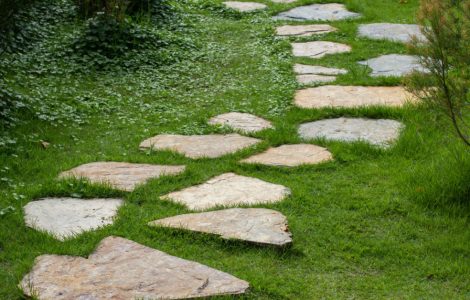 Des pas japonais sur une pelouse