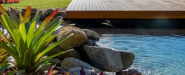 Une piscine naturelle dans un jardin avec un petit pont en bois