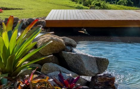 Une piscine naturelle dans un jardin avec un petit pont en bois