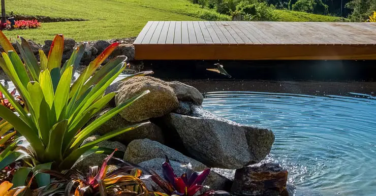 Une piscine naturelle dans un jardin avec un petit pont en bois