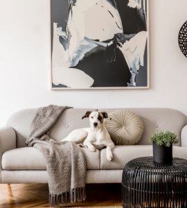 Chien blanc allongé sur un canapé gris au style scandinave