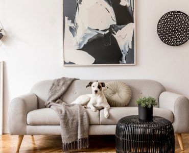 Chien blanc allongé sur un canapé gris au style scandinave