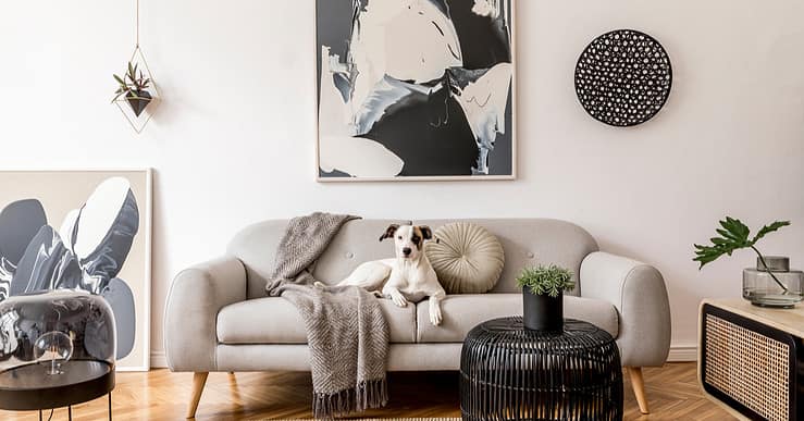 Chien blanc allongé sur un canapé gris au style scandinave