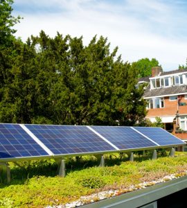 Vue sur une toiture végétalisée avec des panneaux solaires