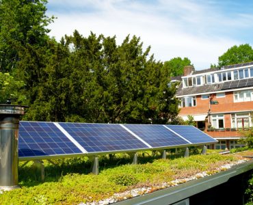 Vue sur une toiture végétalisée avec des panneaux solaires