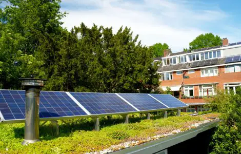 Vue sur une toiture végétalisée avec des panneaux solaires