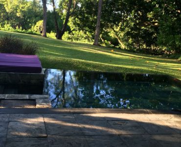 Un lit aménagé près d'une piscine naturelle dans le jardin