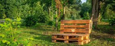 Une chaise en palettes au milieu d’un parc avec des arbres