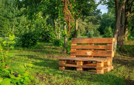 Une chaise en palettes au milieu d’un parc avec des arbres
