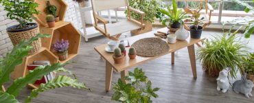 Une pièce décorée avec plusieurs plantes intérieures