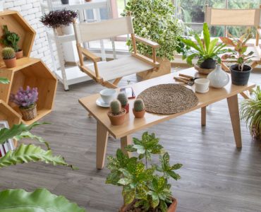 Une pièce décorée avec plusieurs plantes intérieures