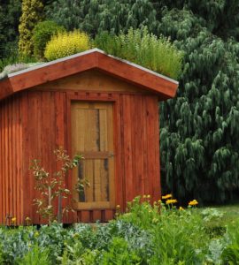 Un abri de jardin dans un parc avec de grands arbres en fond