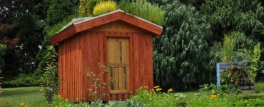 Un abri de jardin dans un parc avec de grands arbres en fond