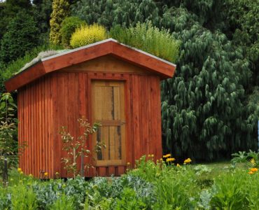 Un abri de jardin dans un parc avec de grands arbres en fond