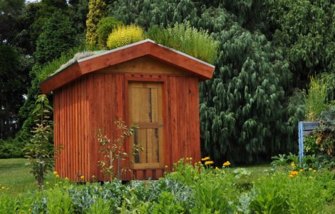 Un abri de jardin dans un parc avec de grands arbres en fond